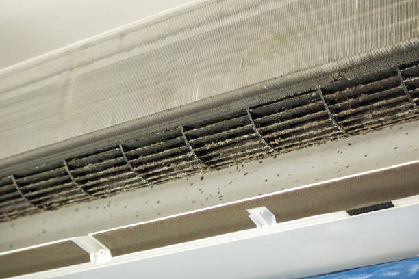 Air Duct Mold Removal in Friedens, PA